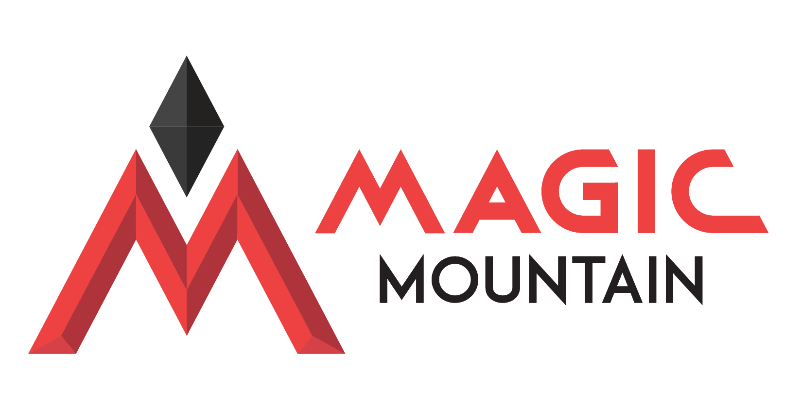 magic mountain logo