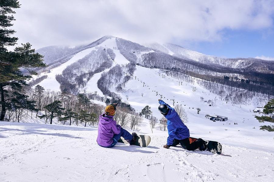 japow 2