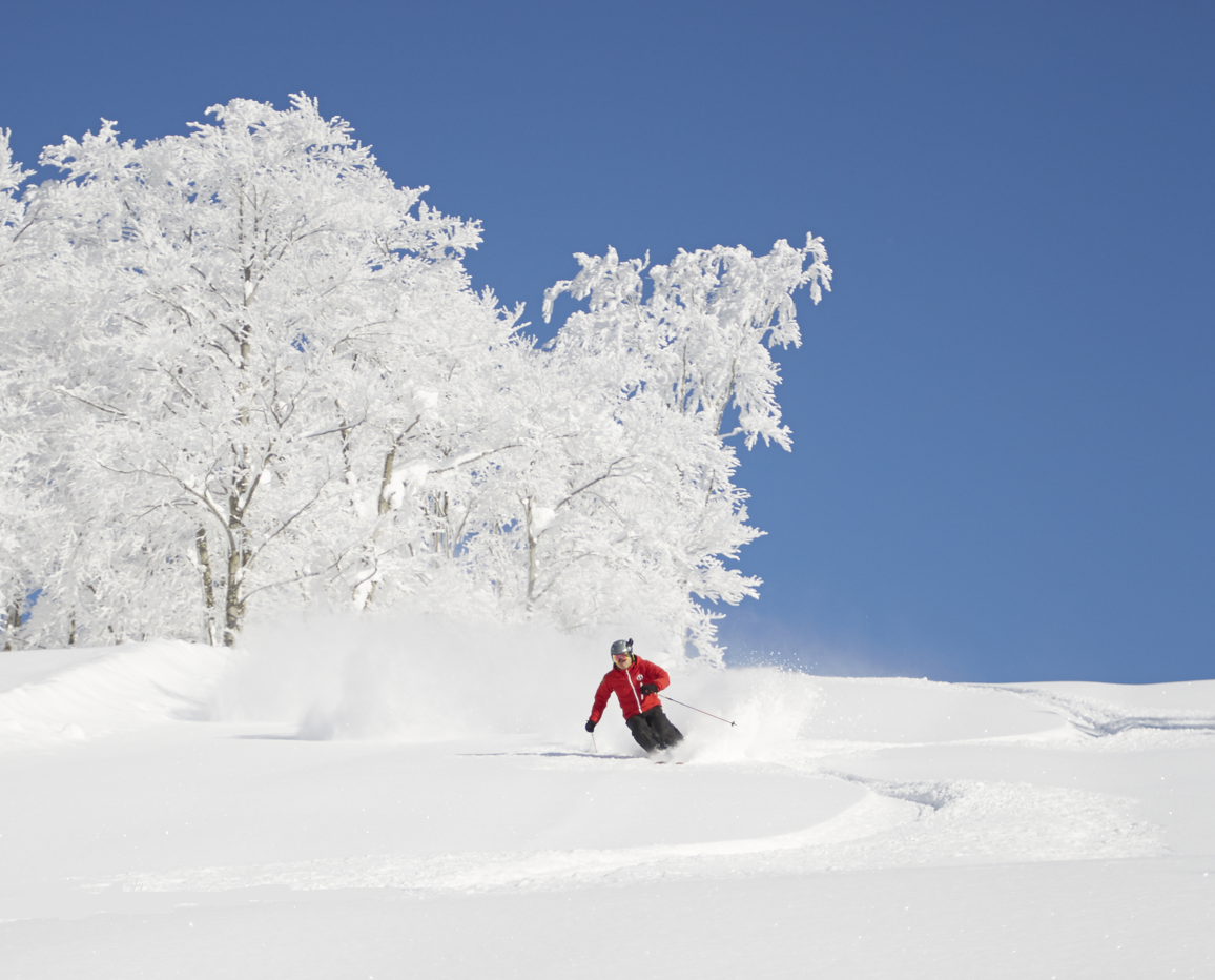 japow