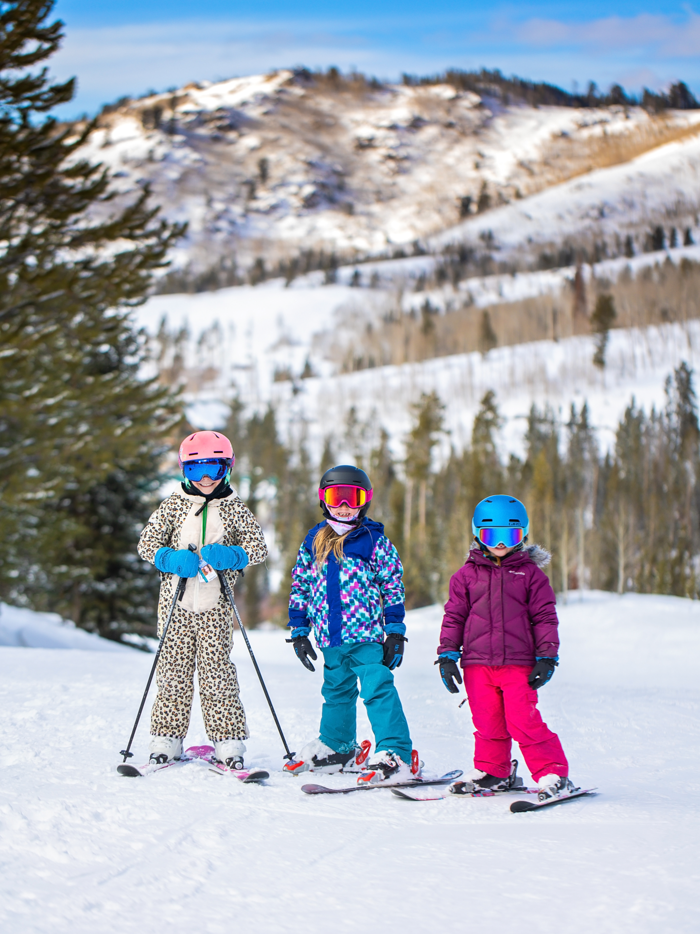 Whitepine Mountain Resort Whitepine Mountain Resort