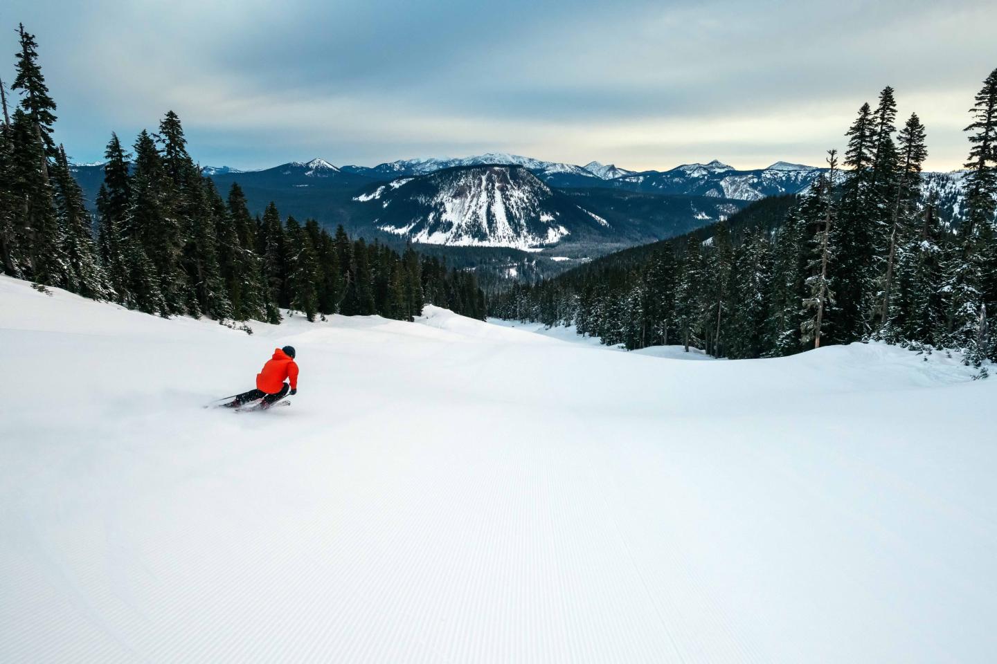 White Pass White Pass