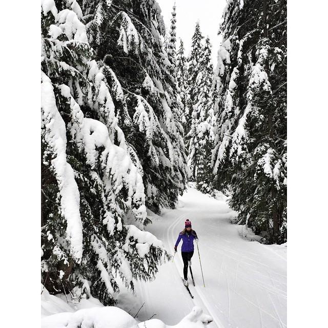Nelson Nordic Ski Club Nelson Nordic Ski Club