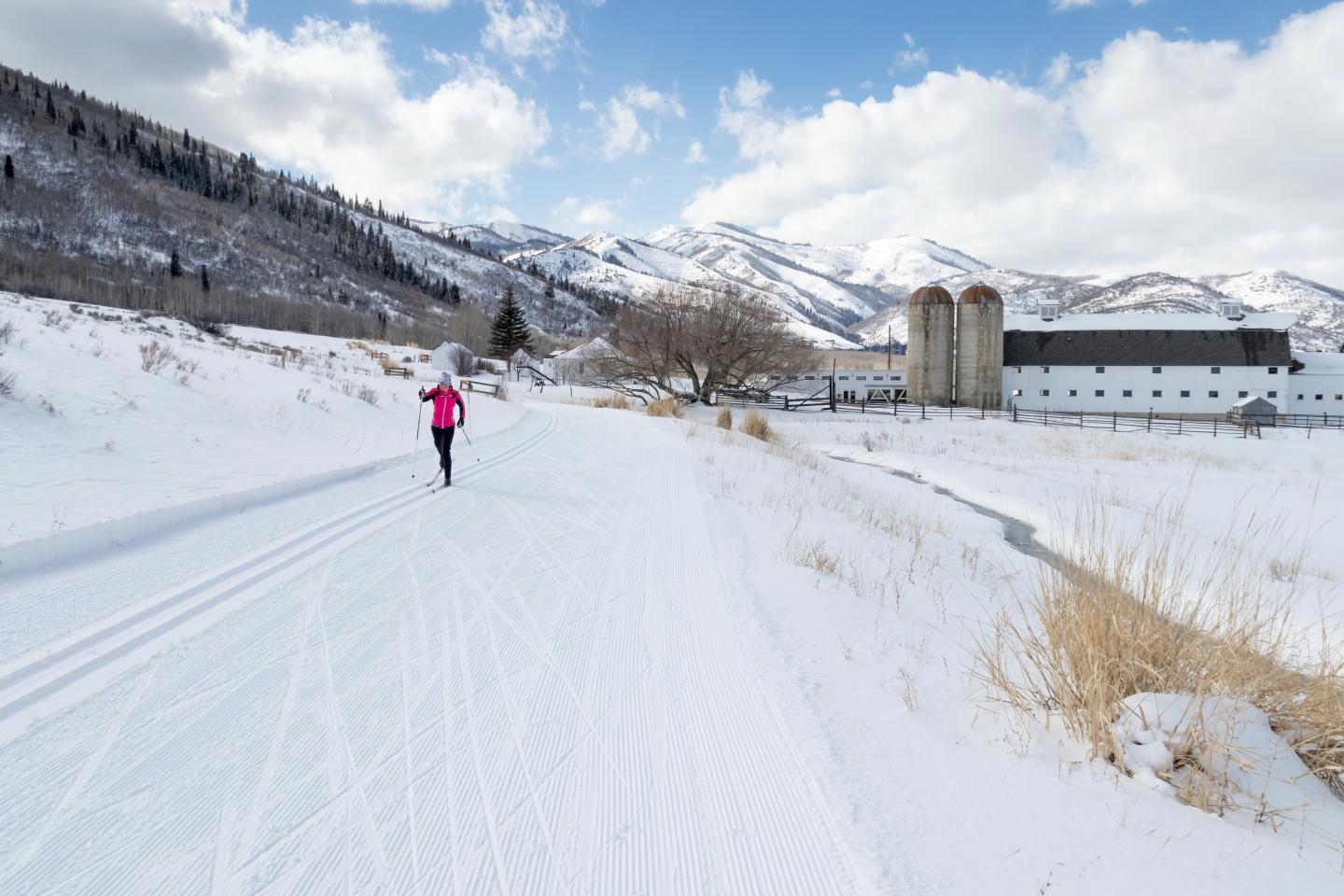 White Pine Touring Nordic Center