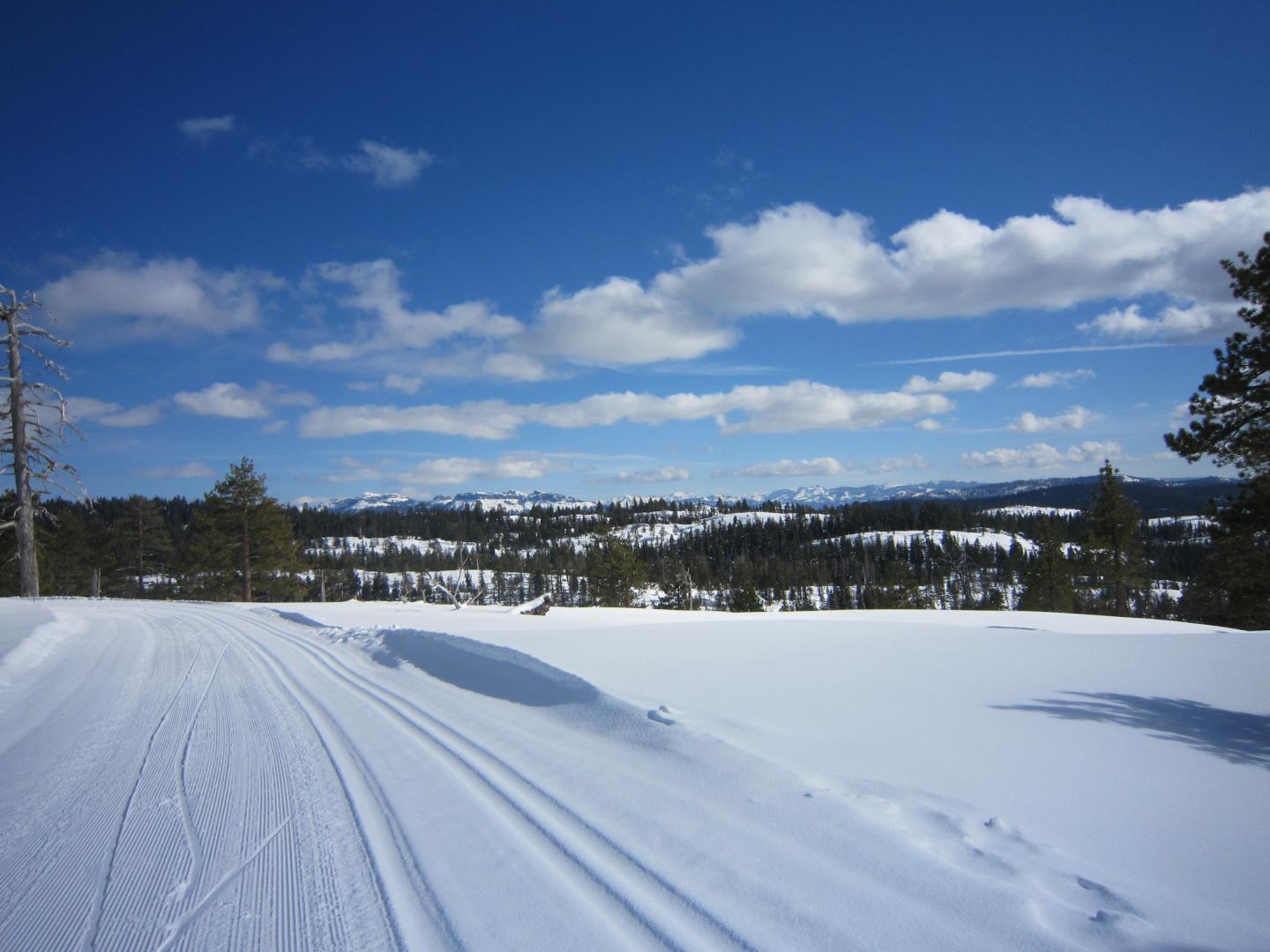 Bear Valley Adventure Company