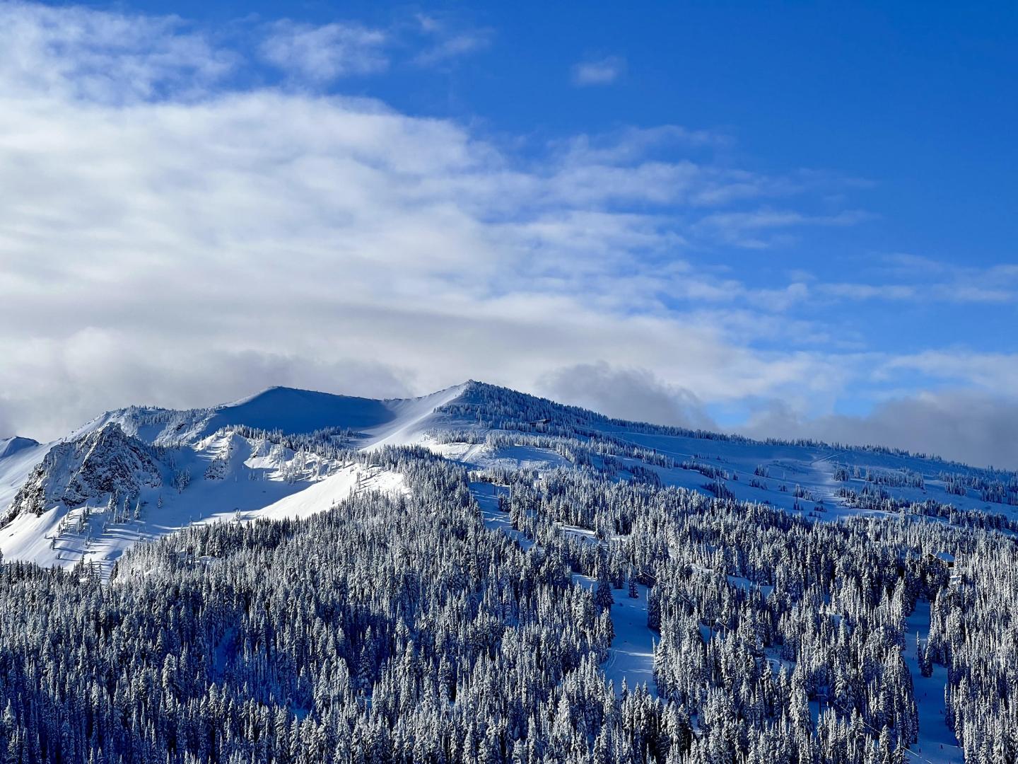 White Pass White Pass