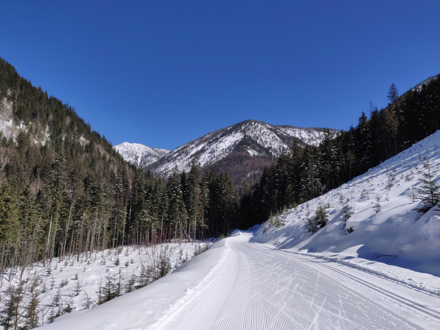 Nelson Nordic Ski Club Nelson Nordic Ski Club
