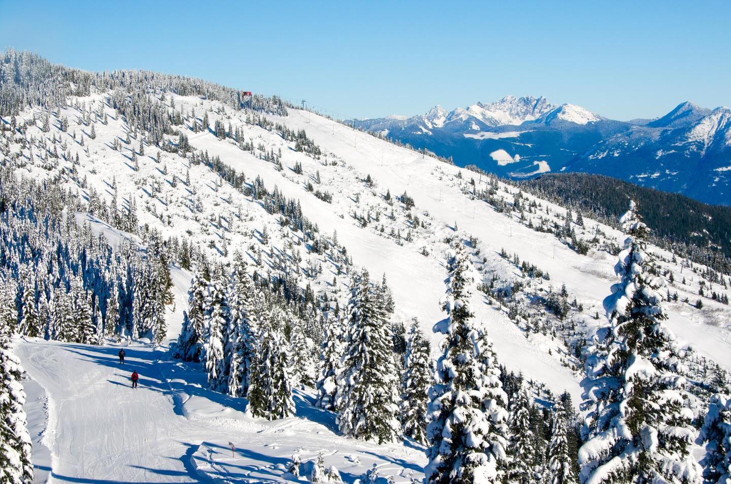 Sasquatch Mountain Resort