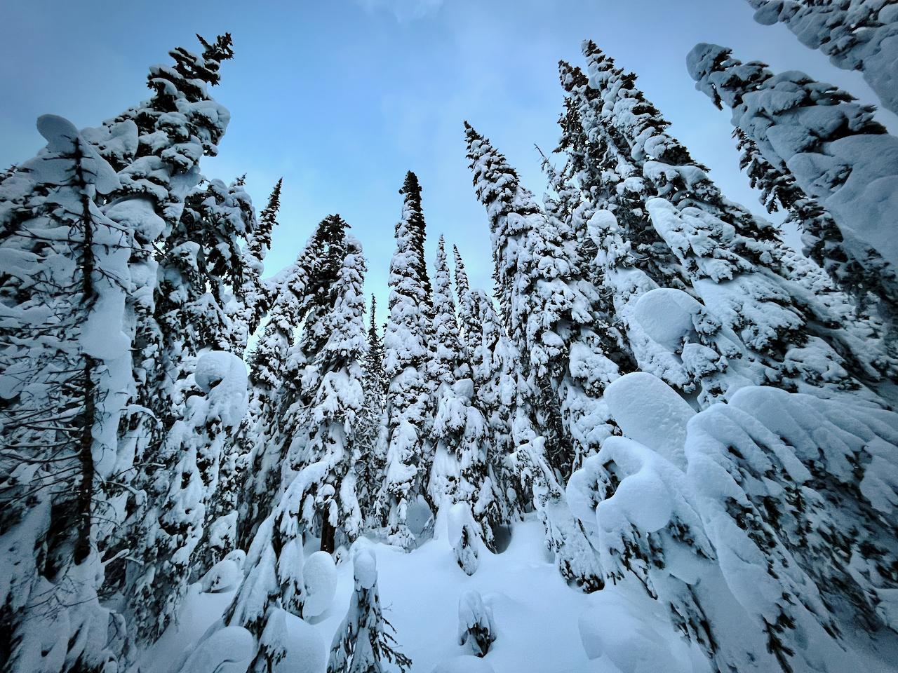 Sovereign Lake Nordic Club