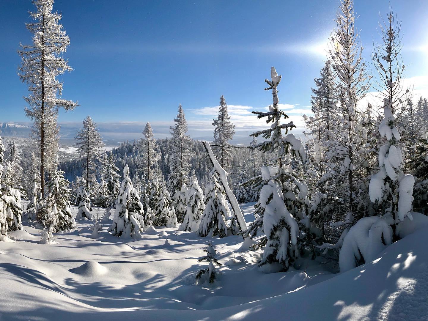 Kimberley Nordic Club