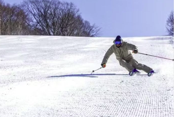 skier