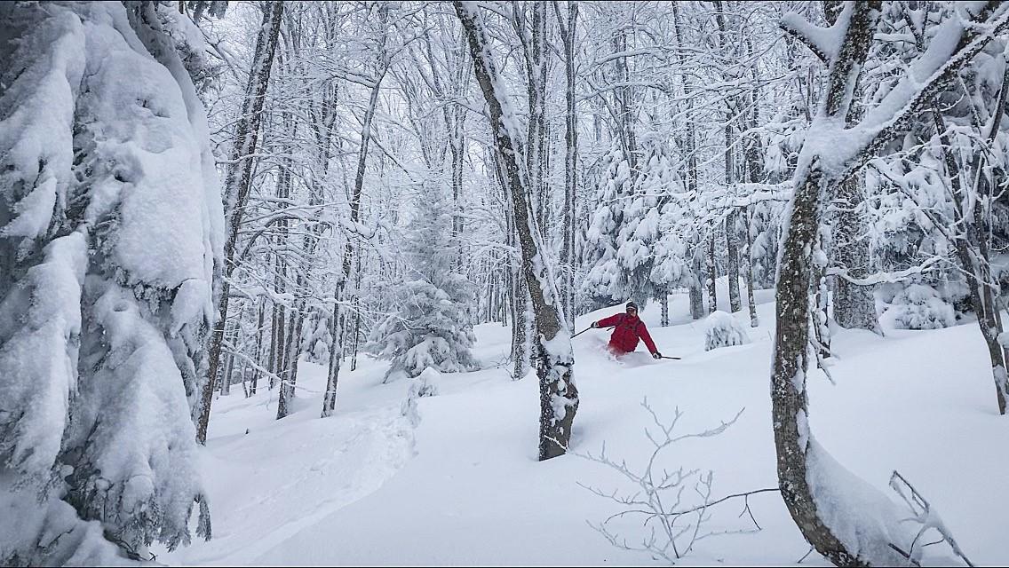 White Grass Ski Touring