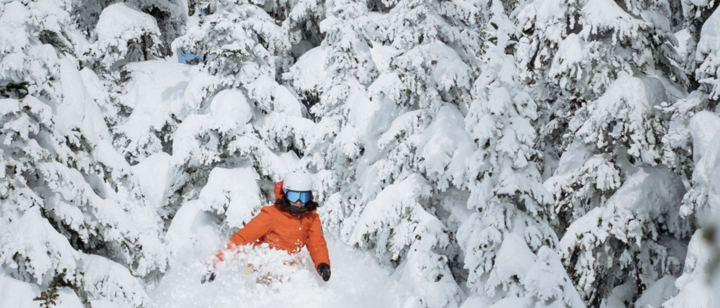 Hudson Bay - Skier 2