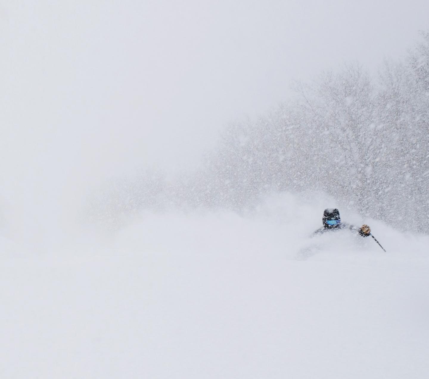 skier in deep pow