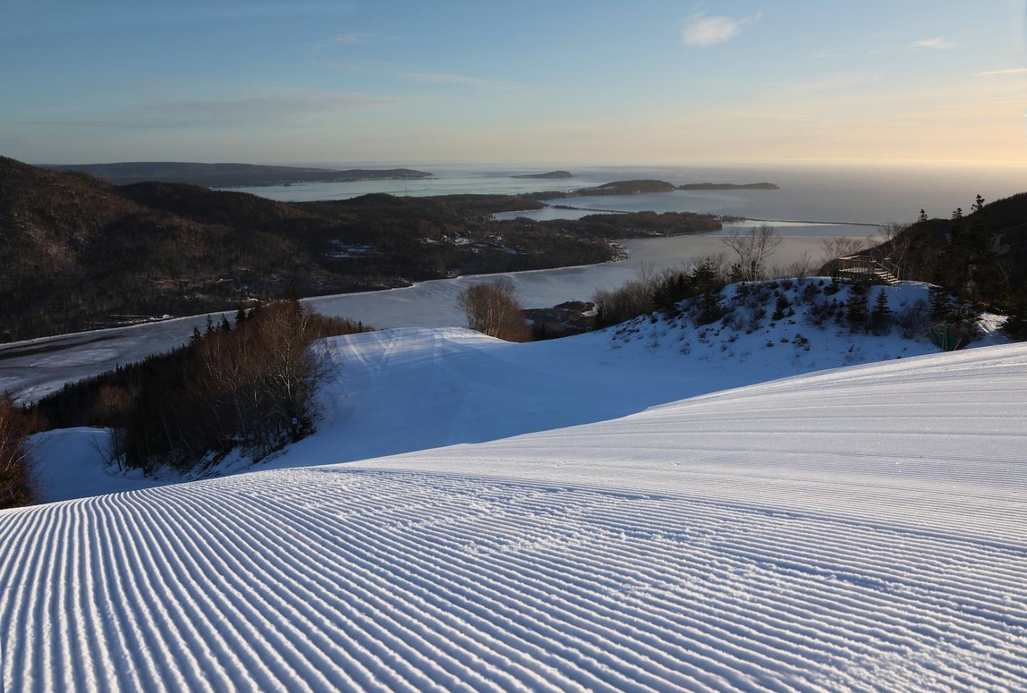 cords in the sunrise