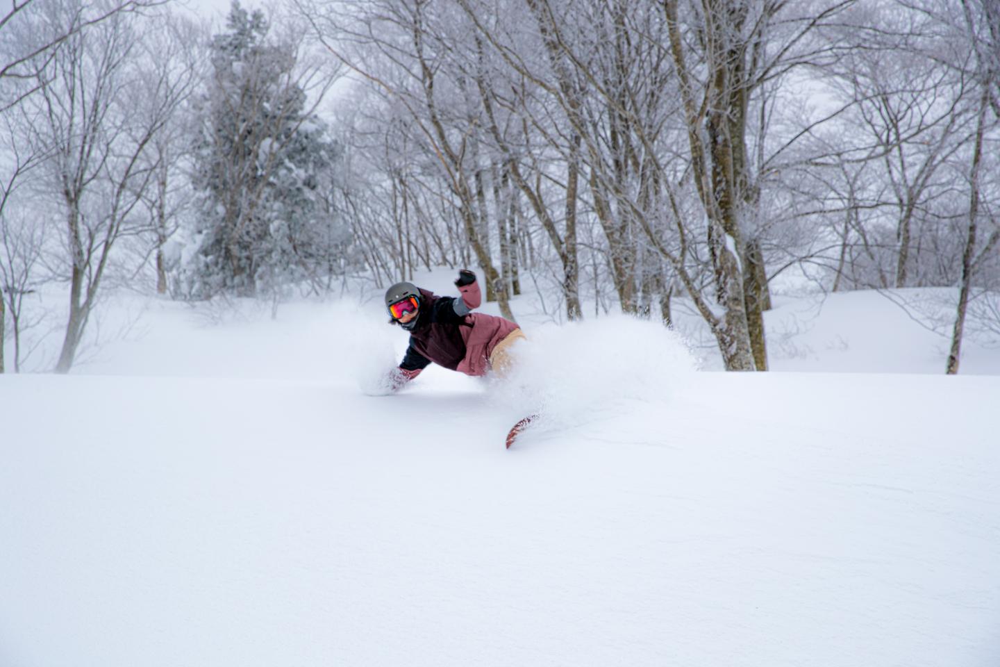 Cupid Valley snowboarder pow