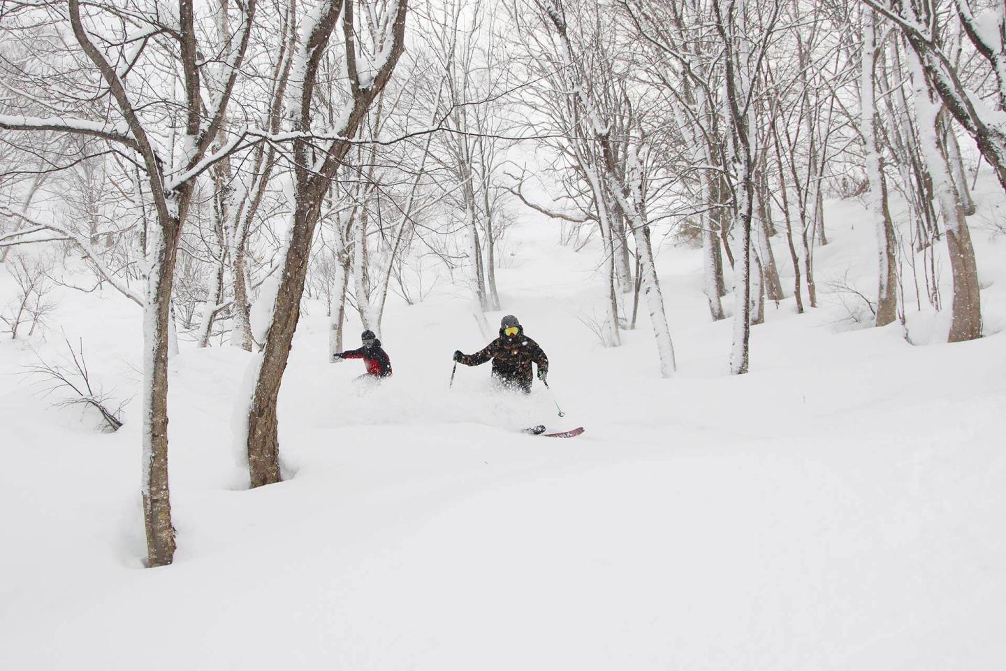 POW at Yuzawa Nakazato Snow Resort