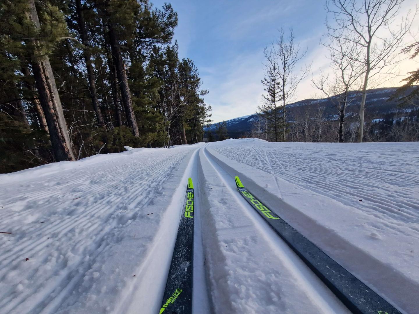 Whitehorse Nordic Centre trails and skis