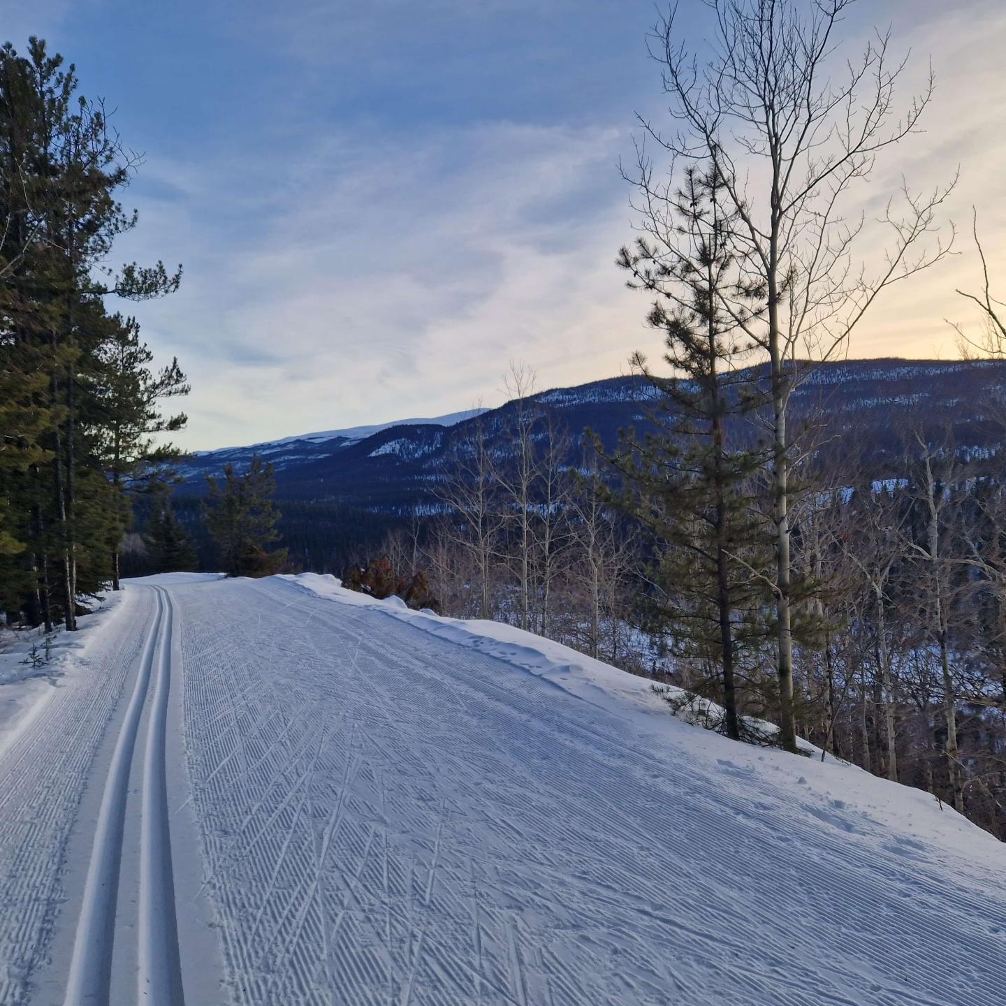 Whitehorse Nordic Centre trails