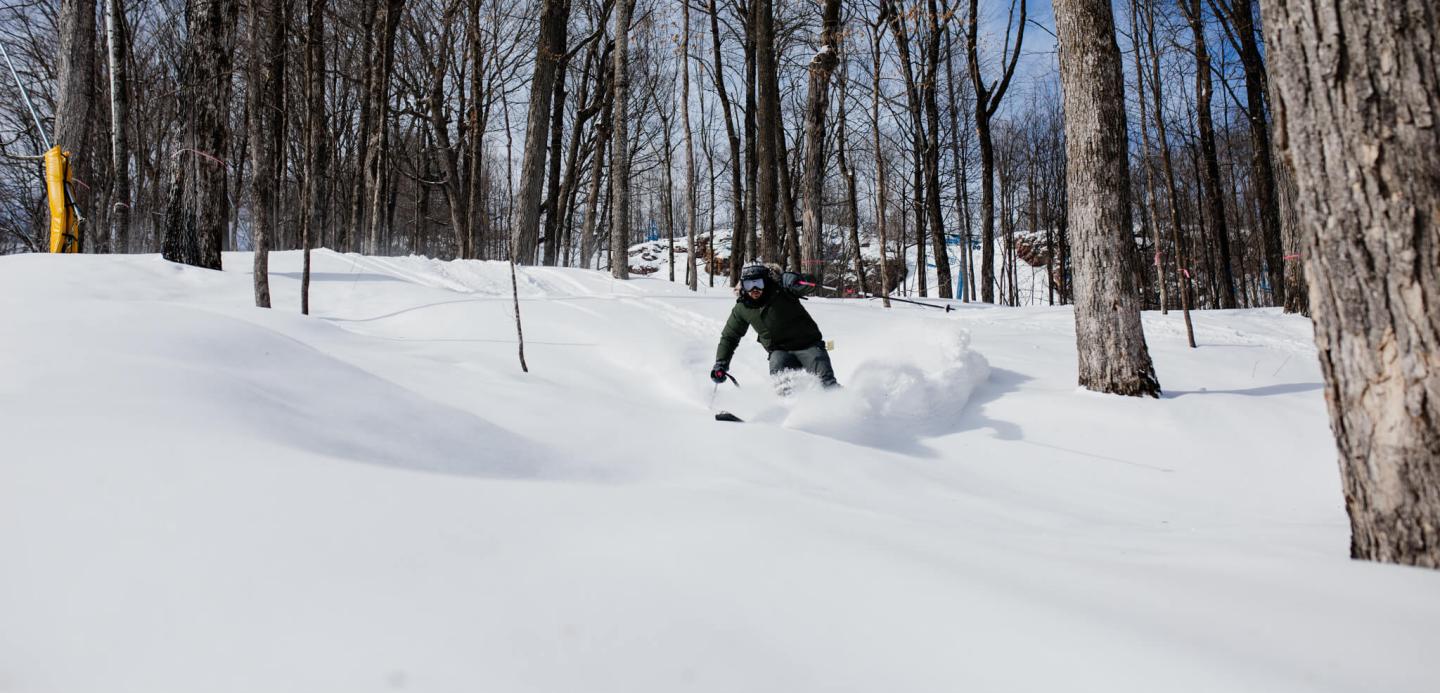 Christie Mountain skier in trees