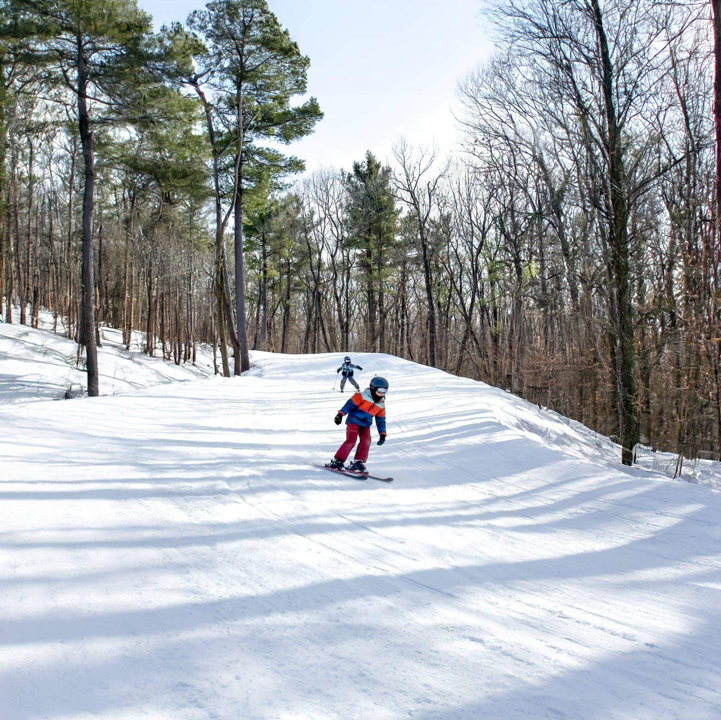 Mont Rigaud skiers in trees