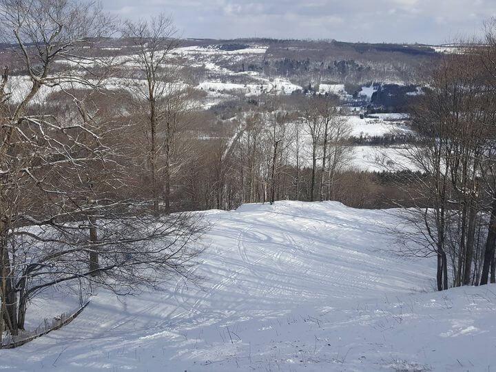 Cazenovia Ski Club trillium