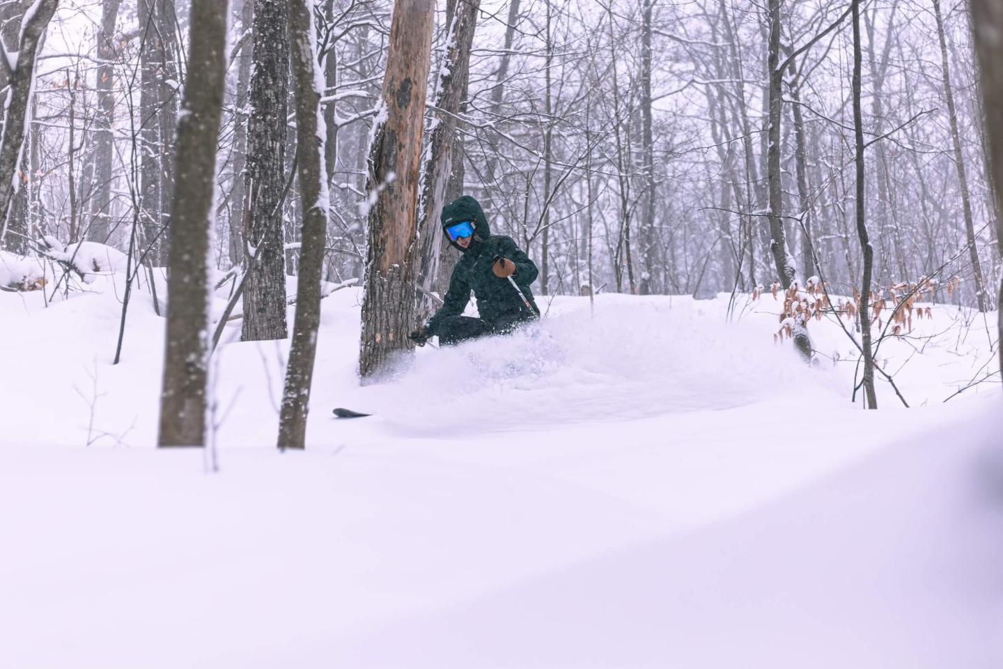 Camp Fortune skiing in trees