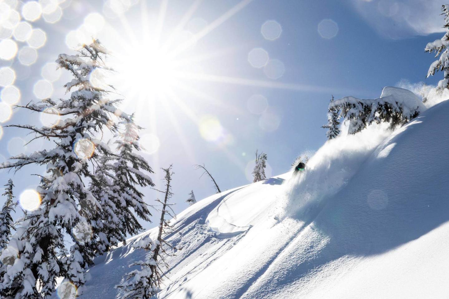 Bear Valley skiier in sun