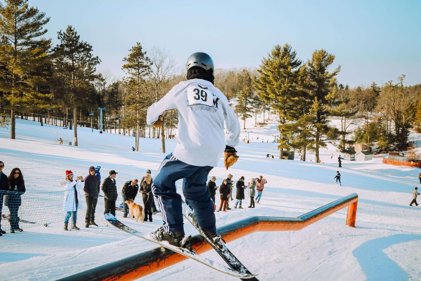 Mt. Holiday skier on rail