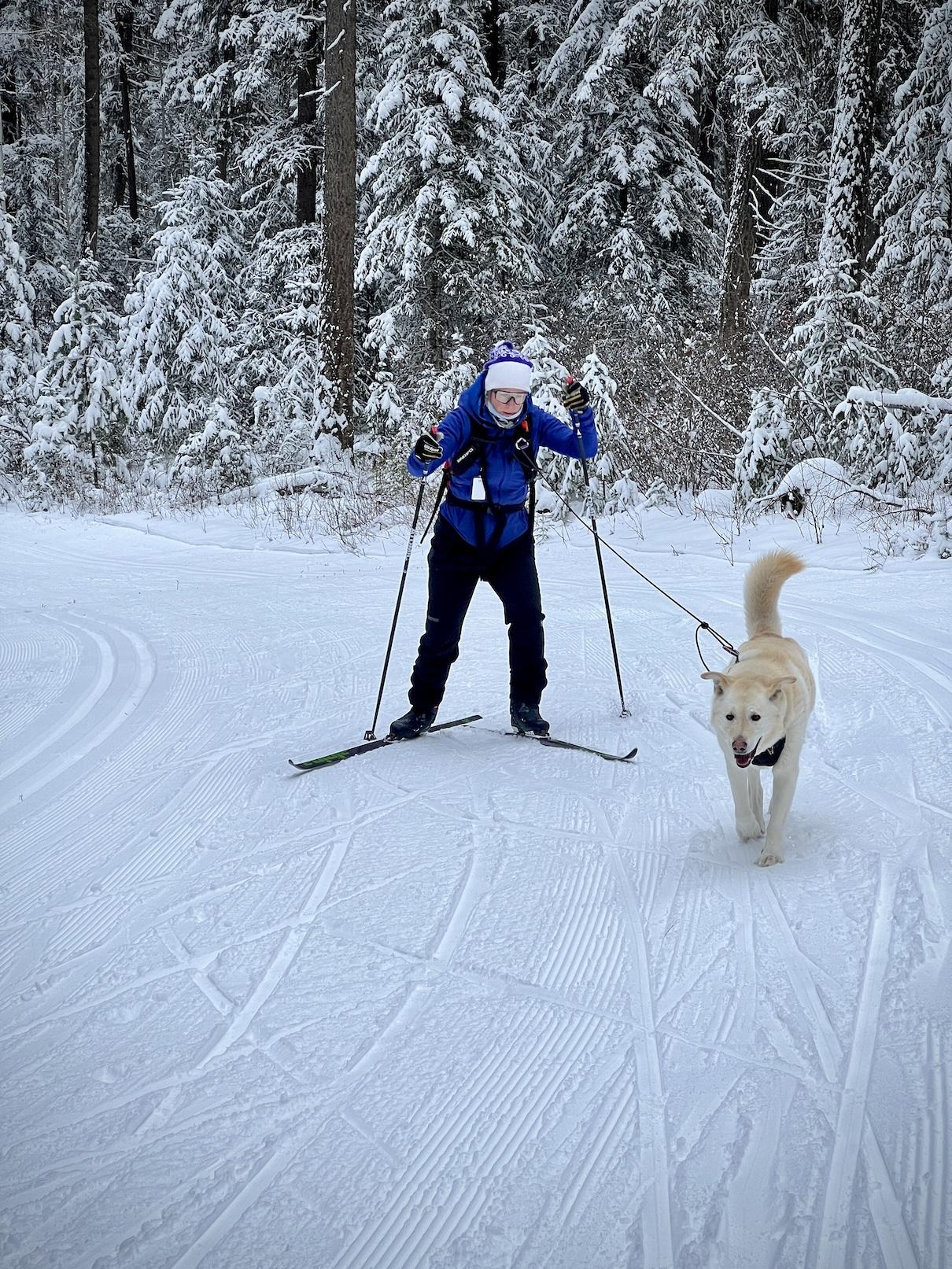 williams lake cross country