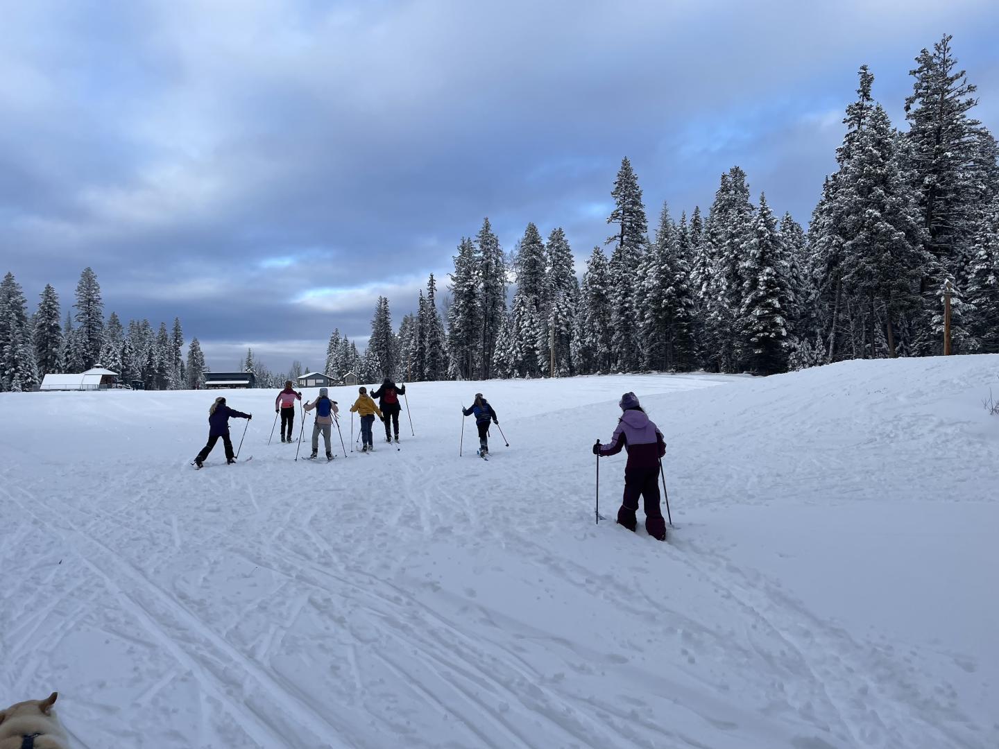 williams lake cross country