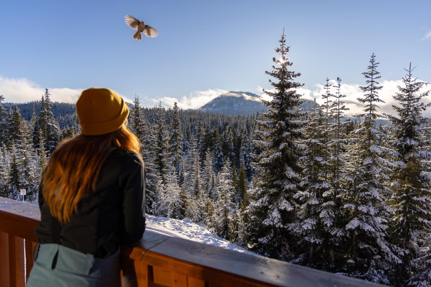 mt. washington nordic