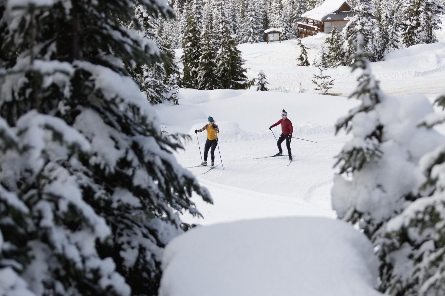 mt. washington nordic
