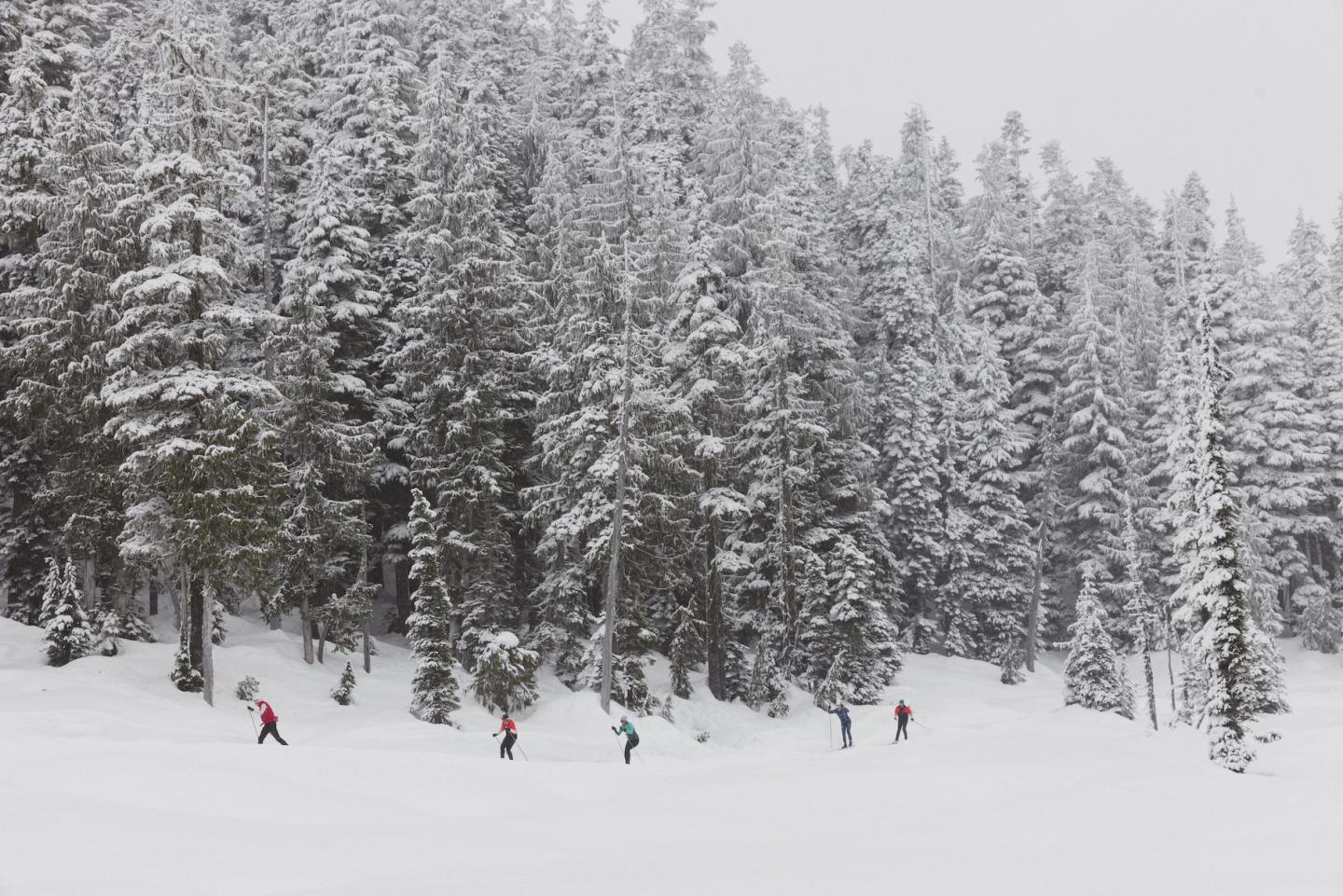 mt. washington nordic