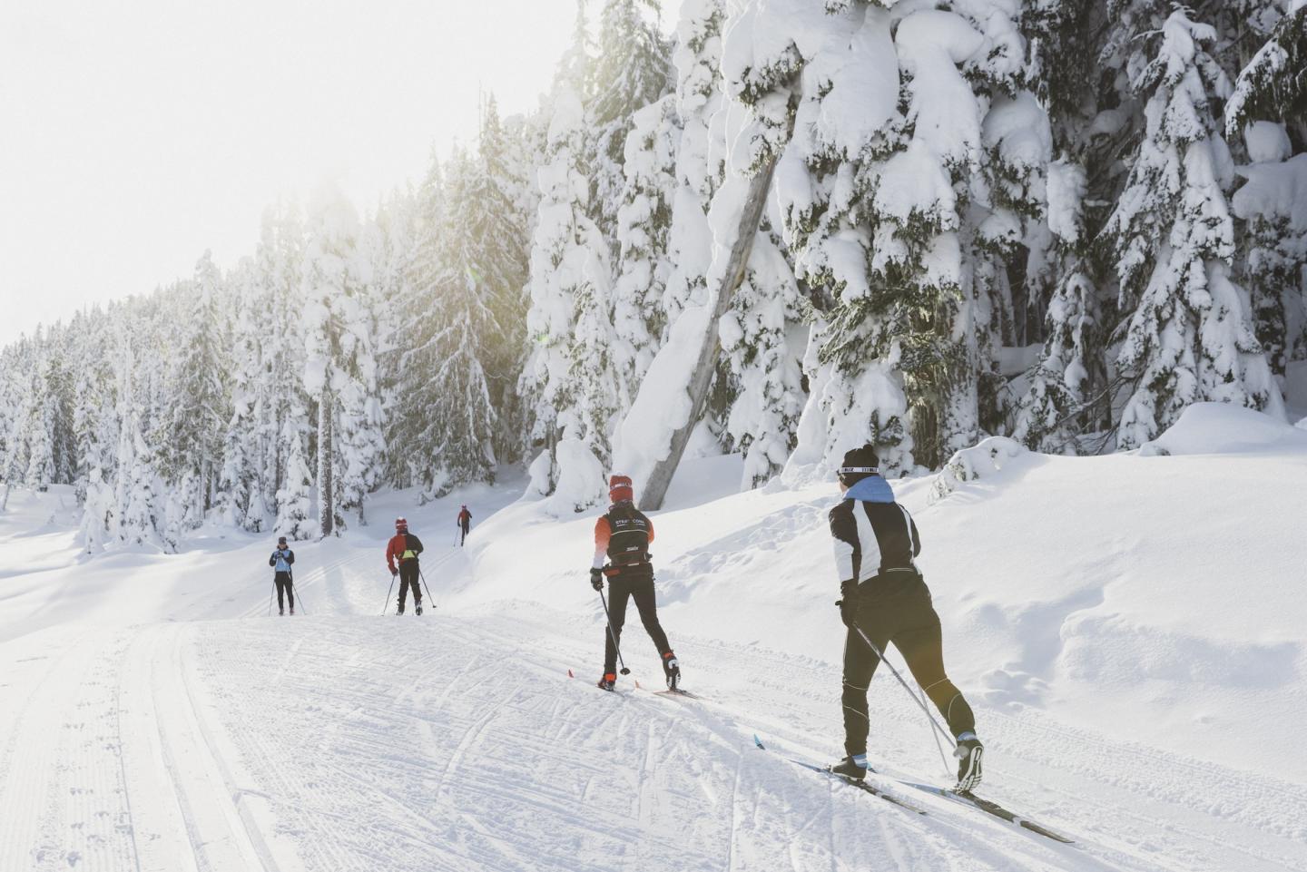 mt. washington nordic