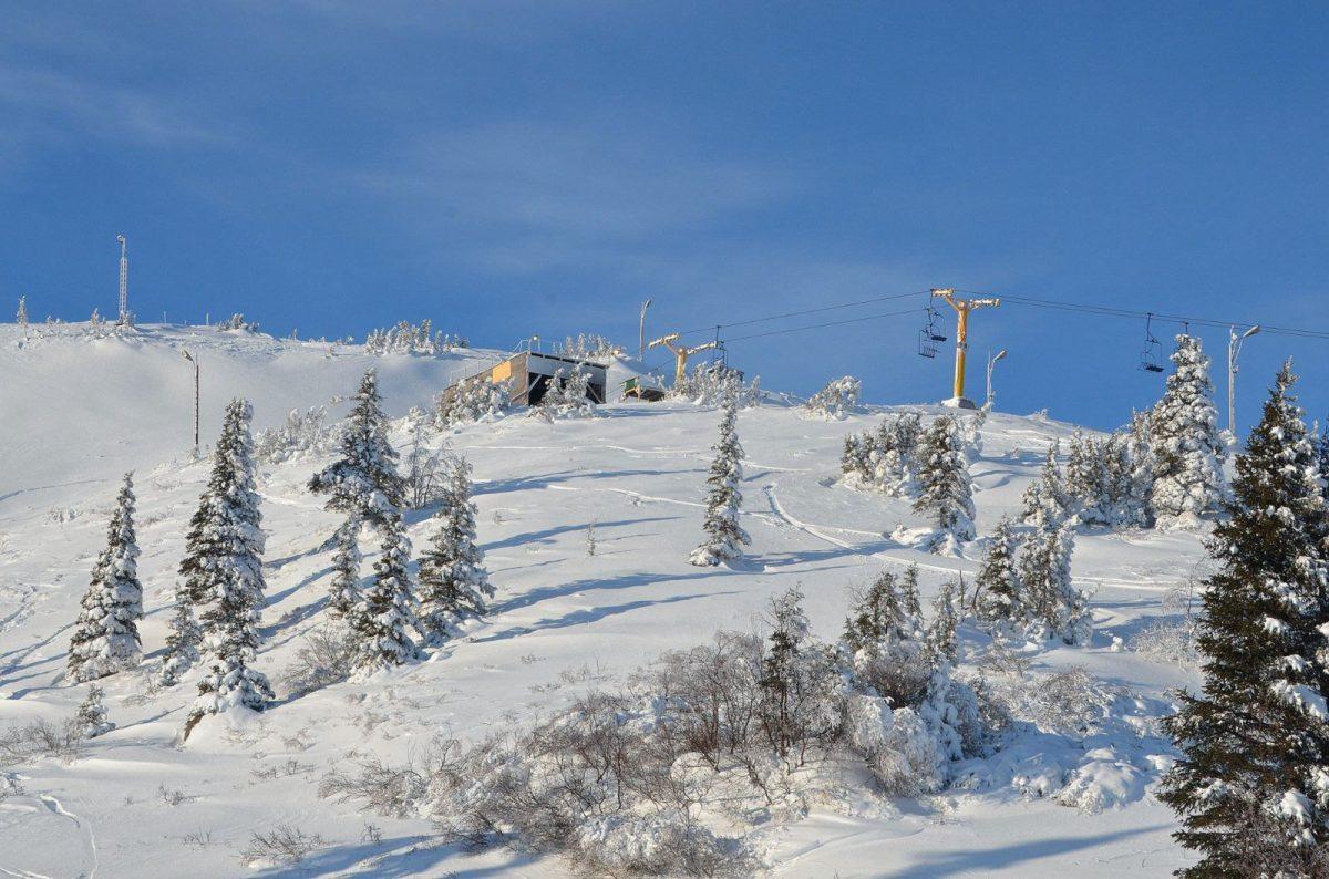 aerial view of mountain