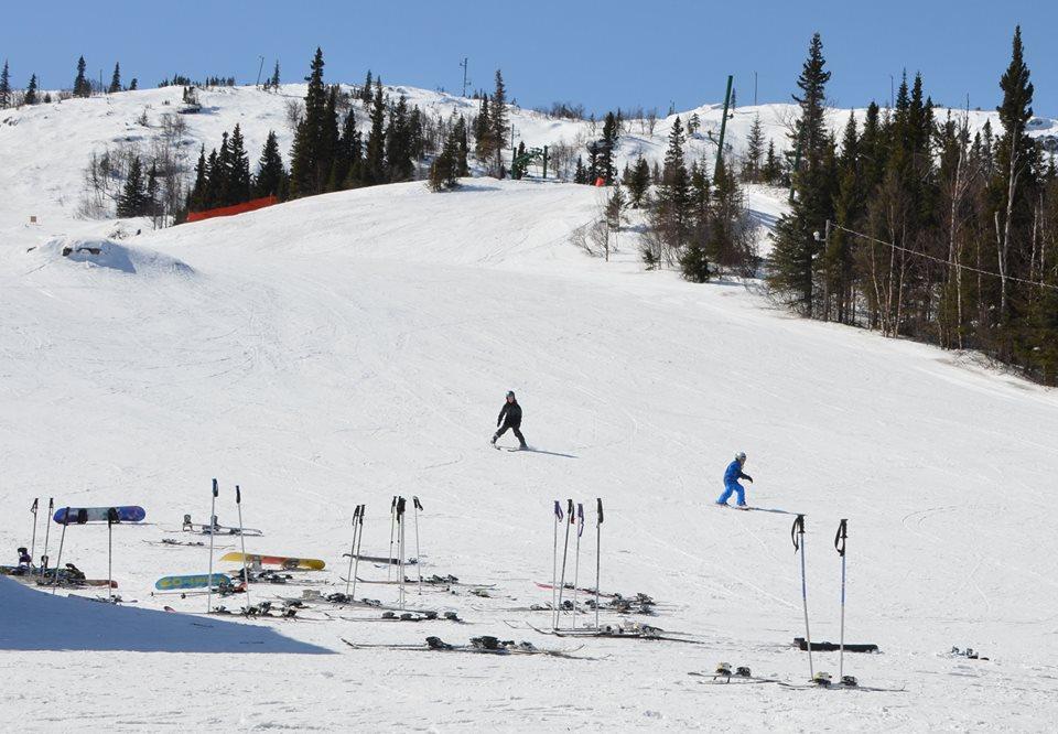 skiers going down mountain