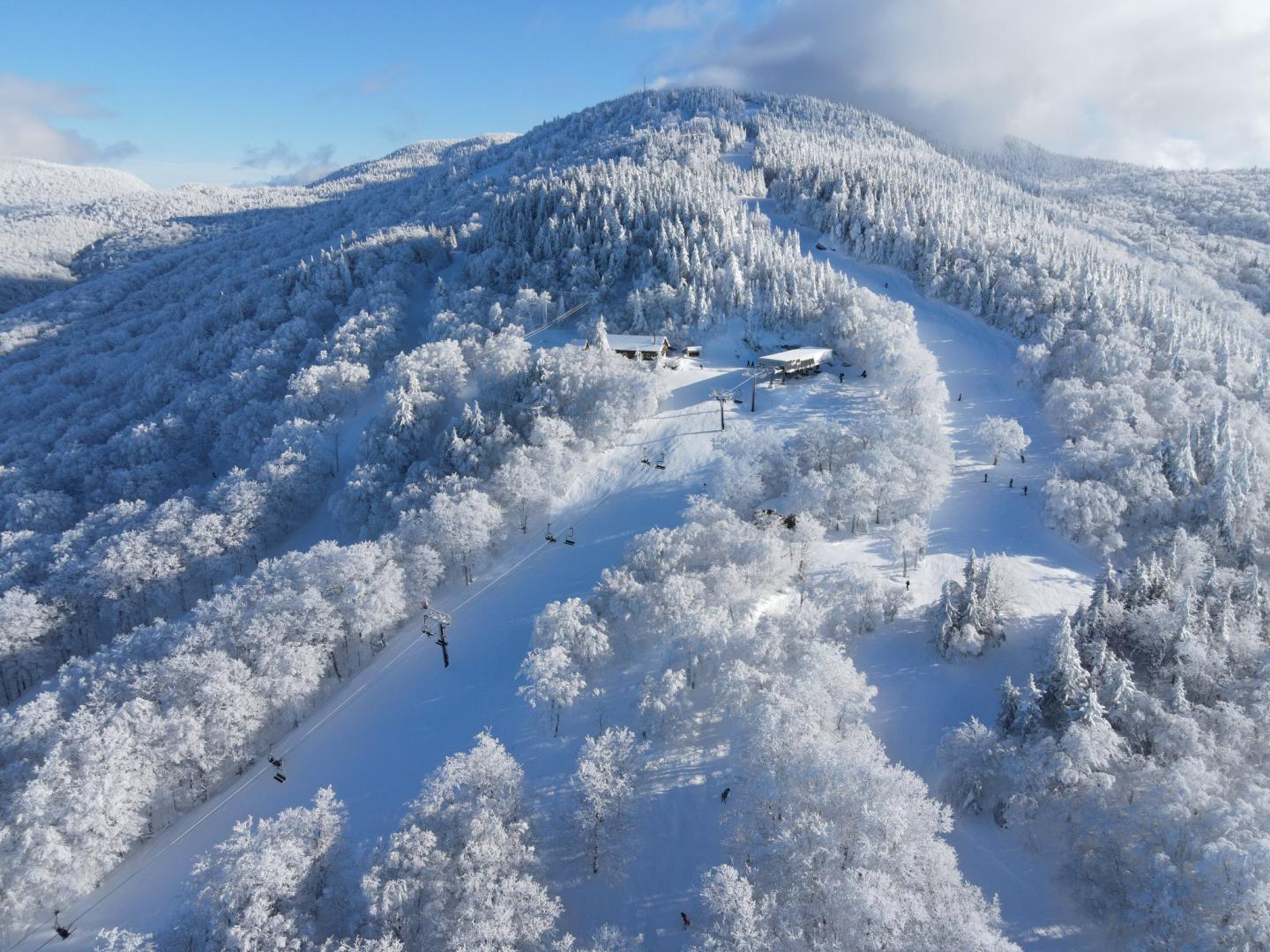 mont sutton background