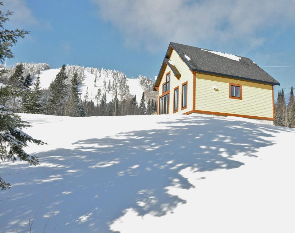 cabin in on a snow sunny day