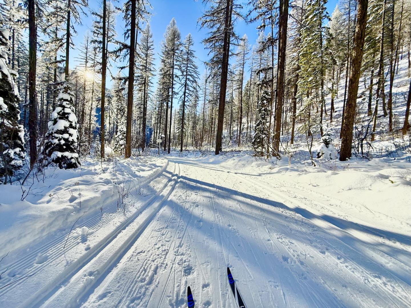 skier's point of view of snowy trail 