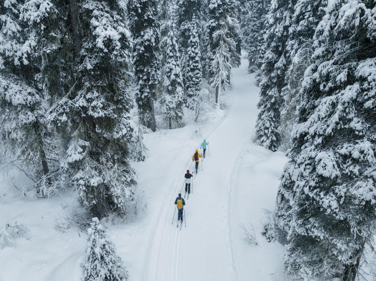 overhead view of cross country skiers