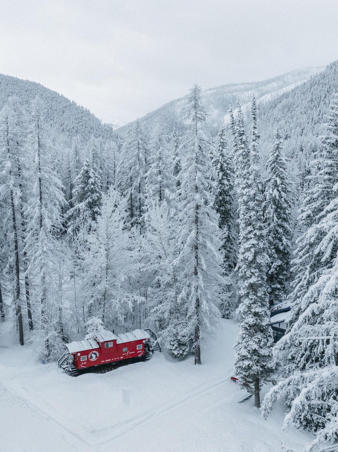 aerial view of red train car surrounded by snowy trees