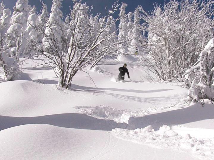 skier skiing down the mounatin