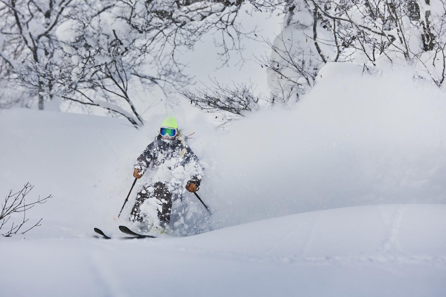 powder in japan