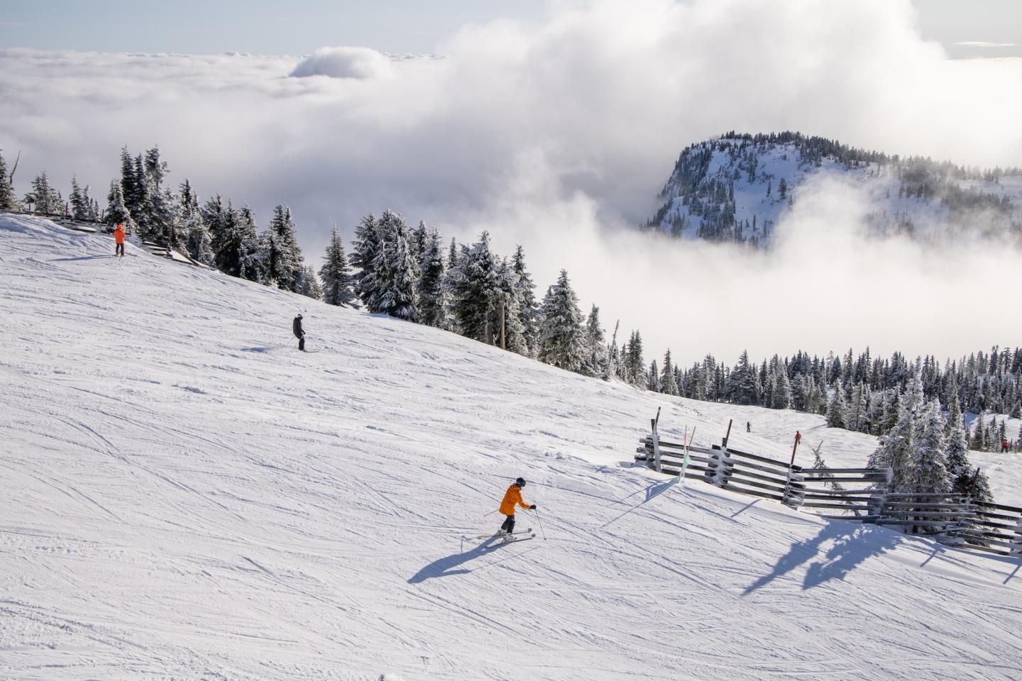 mt. washington