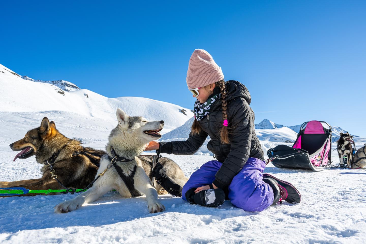 dog sledding at Orcières Merlette 1850