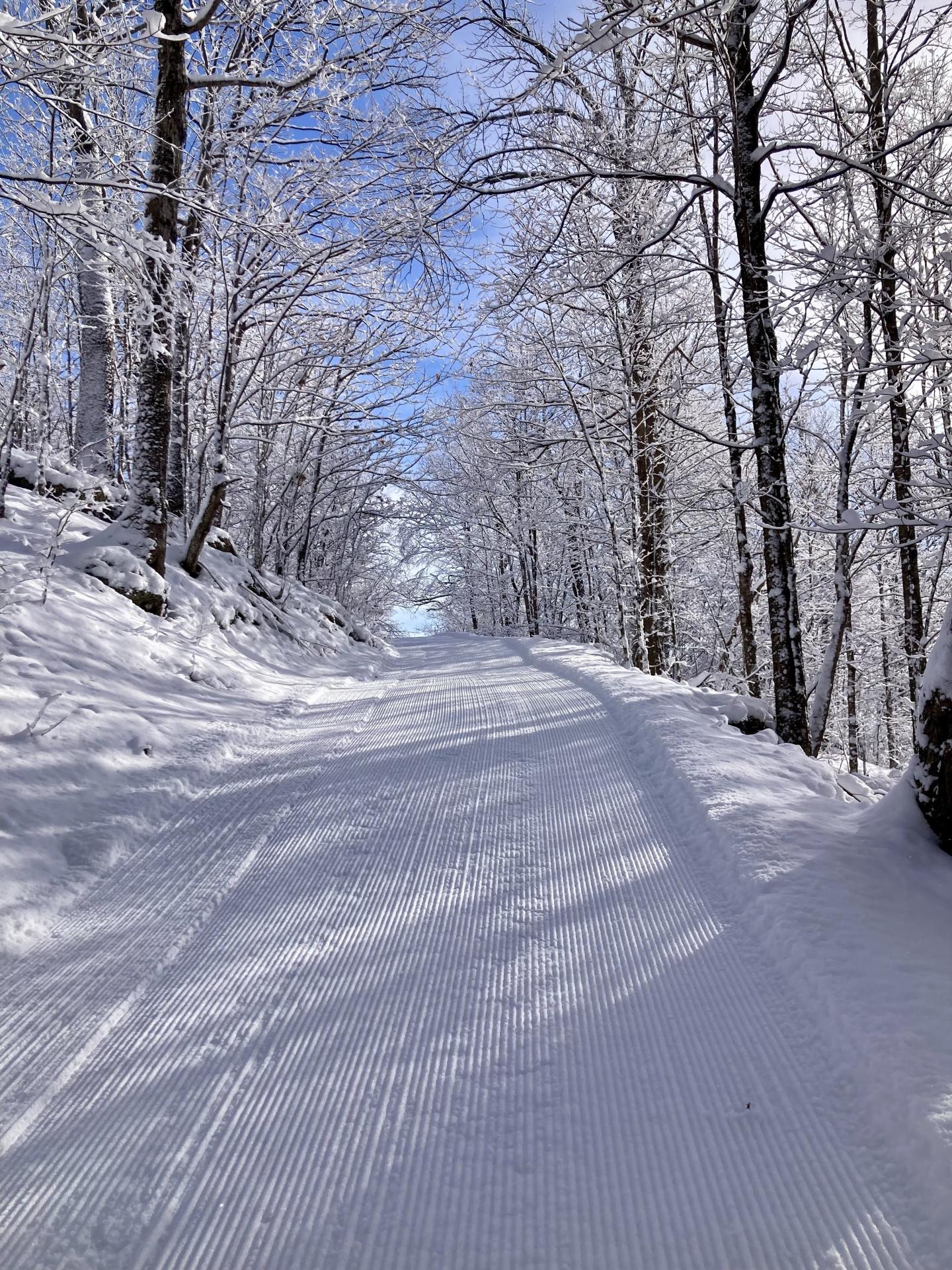 snowy trail at sleepy hollow vt
