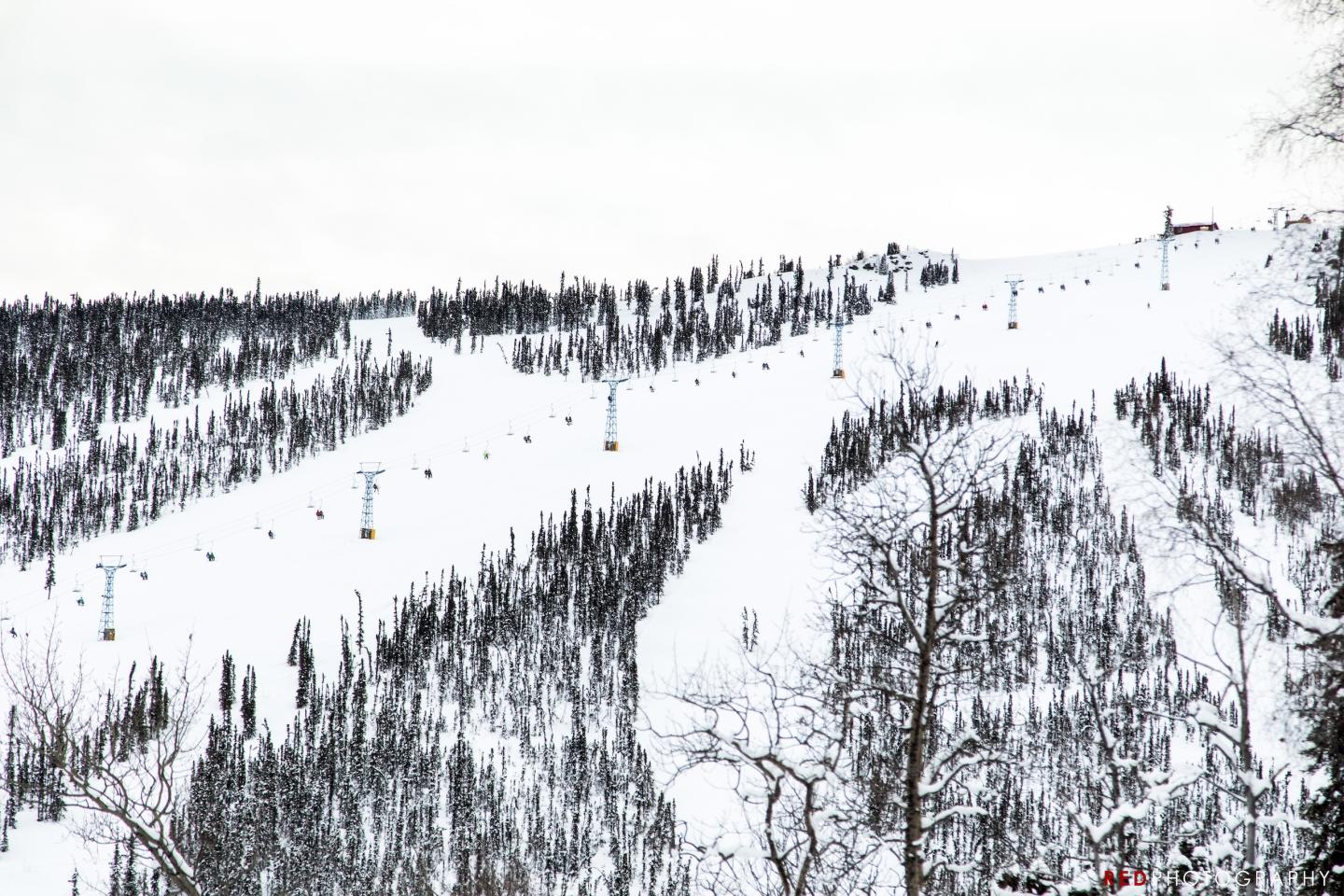 aerial photo of ski land chairlift