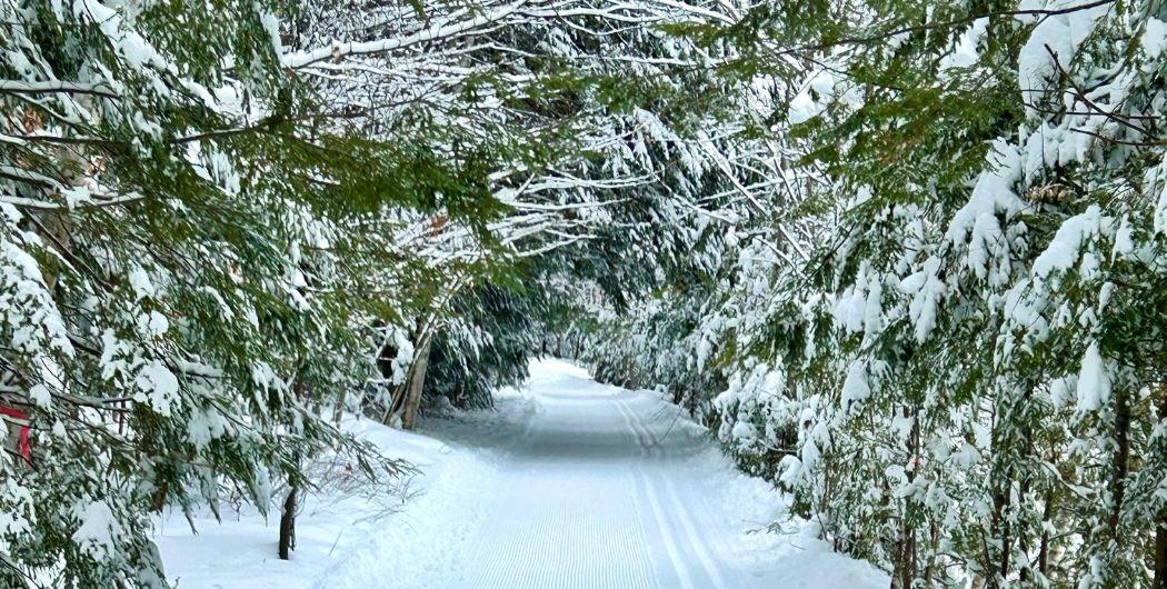 nicely groomed trails and snowy trees at eastman cross country