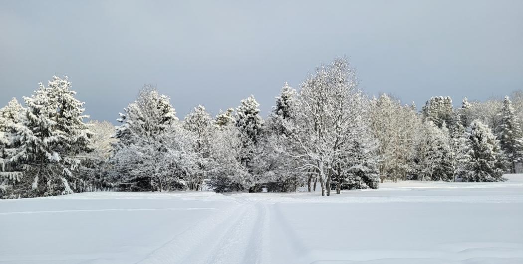snowy landscape at Osceola Tug Hill