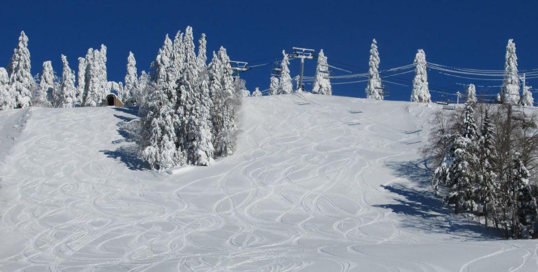 snowy powder scene at Mont-Kanasuta
